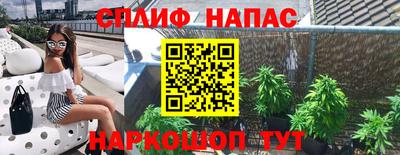 молекула духа Жуковский