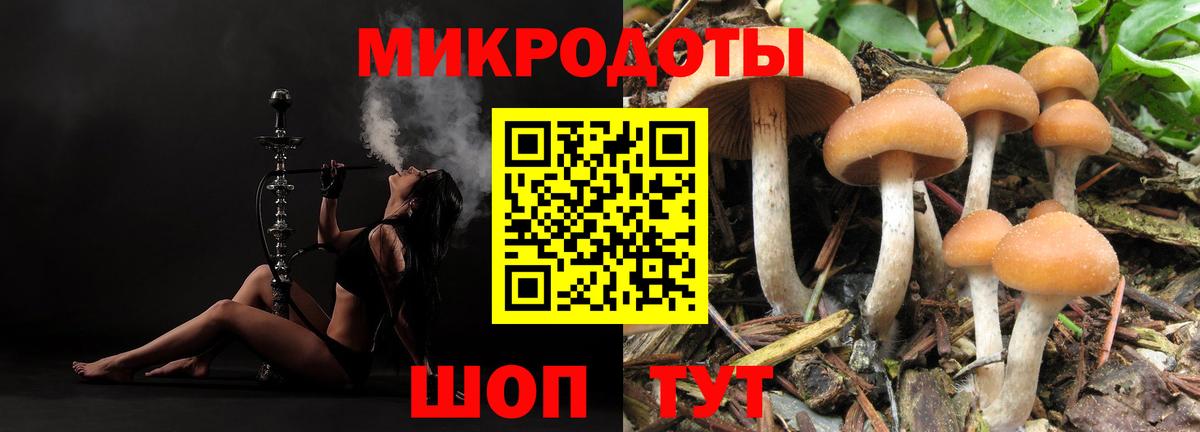 Малгобек  Галлюциногенные грибы мухоморы  Вход с VPN 